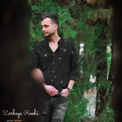 zarbeye roohi