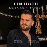 setareh boodi