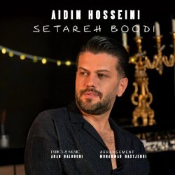 setareh boodi