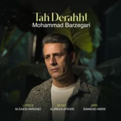 mohammad barzegari tak derakht