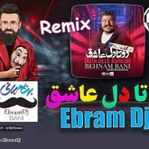 dota dele ashegh dj ebram remix