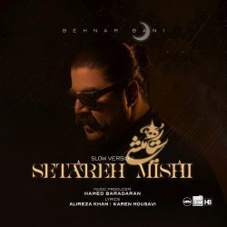 setareh mishi slow version