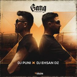 gang (ft dj ehsan dz)