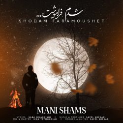 shodam faramoushet