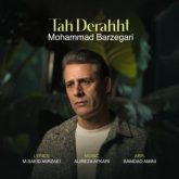 mohammad barzegari tak derakht