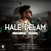 hale delam