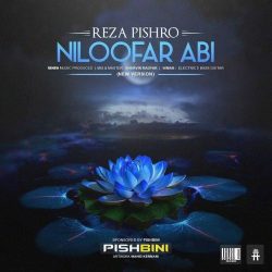 niloofar abi new version