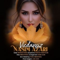 vicdansiz
