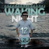 waking night 12