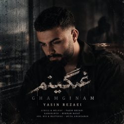 ghamginam