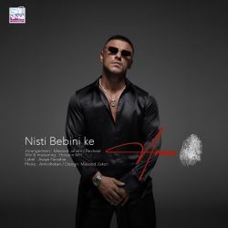 nisti bebini ke