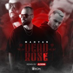 dead rose jlixon