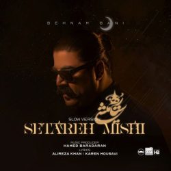 behnam bani