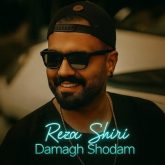 damagh shodam