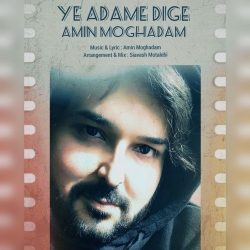 ye adame digeh