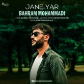 jane yar