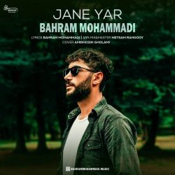 jane yar