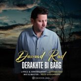 derakhte bi barg