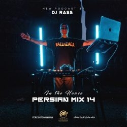 in the house persian mix 14
