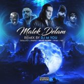 malek delam remix