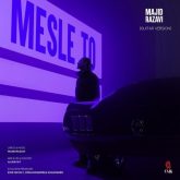 mesle to guitar version