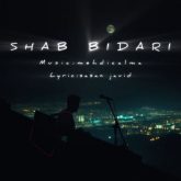 shab bidari