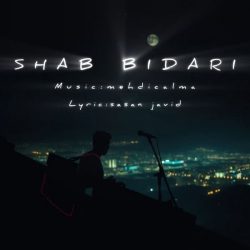 shab bidari