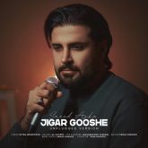 jigar gooshe unplugged version