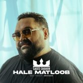 hale matloob