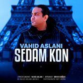vahid aslani