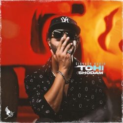 tohi shodam