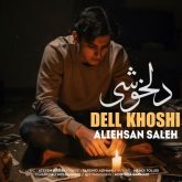 delkhoshi new version