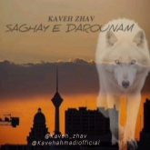 saghaye darounam
