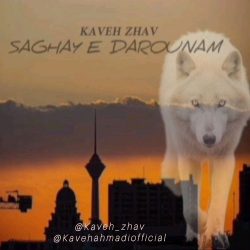 saghaye darounam